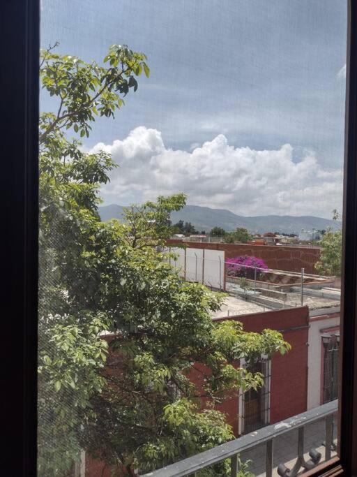 Апартаменти M1010 Agradable Departamento Centrico En Oaxaca Екстер'єр фото